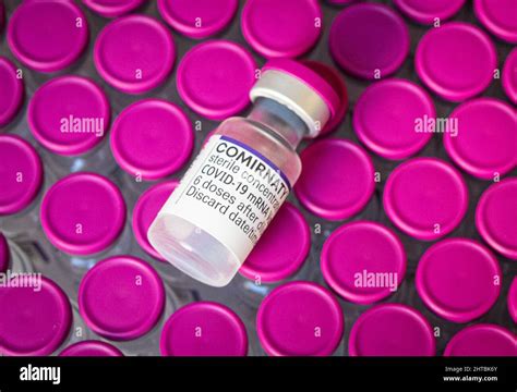 Pfizer laboratory hi-res stock photography and images - Alamy