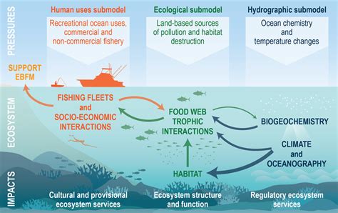 Ecosystem Modeling in the Pacific | NOAA Fisheries