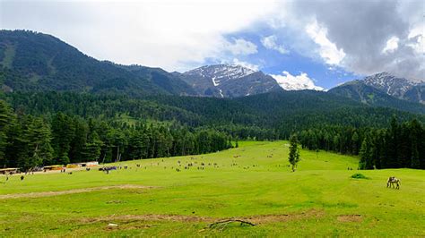 1,300+ Pahalgam Stock Photos, Pictures & Royalty-Free Images - iStock