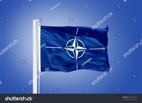 PowerPoint Template: nato national security - flag (kijmohljm)