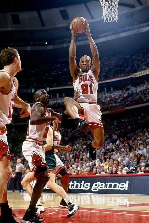 Dennis Rodman Rebound By Andrew Bernstein | ubicaciondepersonas.cdmx.gob.mx