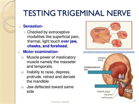 Cranial nerve assessment..Simple and Easy to perform for medics and P…