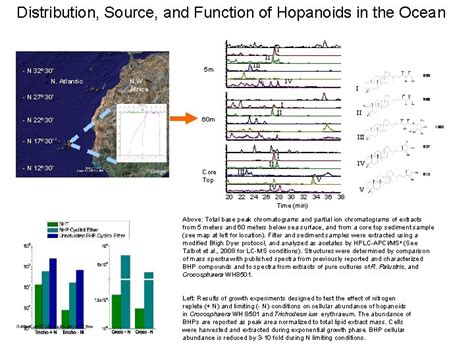 Distribution Source and Function of Hopanoids in the