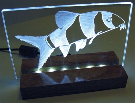 Etched Acrylic LED