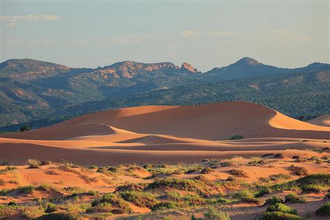 Coral Pink Sand Dunes - File:Coral Pink Sand Dunes State Park, Utah ...