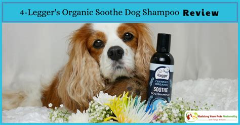 Hypoallergenic and Fragrance Free All Natural Dog Shampoo | 4-Legger ...
