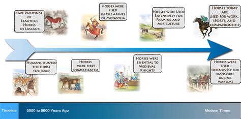 Journey of the modern horse and humans together!