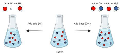 Buffers and Lab Consumables | AAT Bioquest