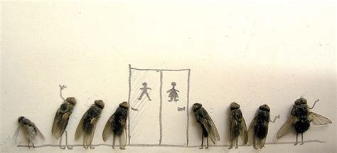 Dead Flies Art (15 pics)