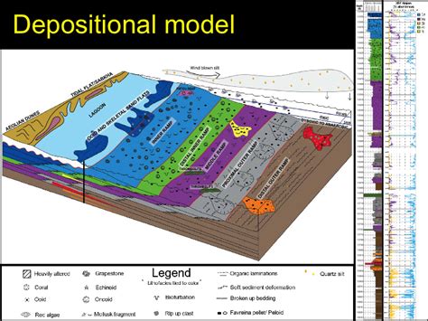 Lithofacies and Geochemical Properties of the East Texas Smackover ...