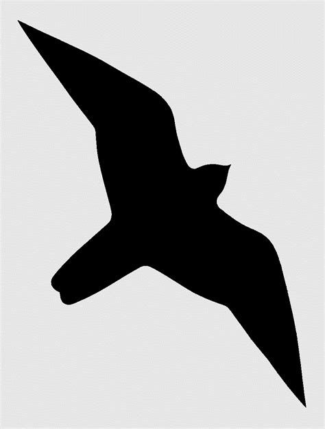 falcon silhouette clipart 10 free Cliparts | Download images on Clipground 2024