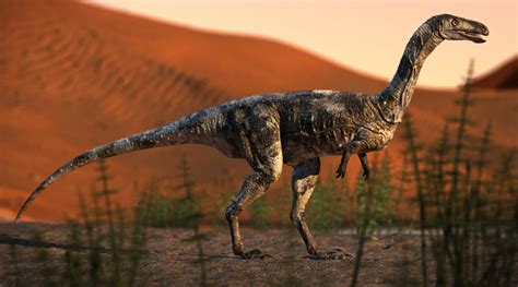 Espécie inédita de dinossauro carnívoro é descoberta no Paraná - Planeta