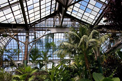 Lincoln Park Conservatory - Chicago | Lincoln park conservatory, Lincoln park, Conservatory