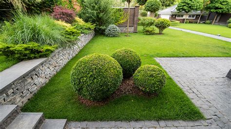 16 Styling Tips for Landscaping With Boxwoods