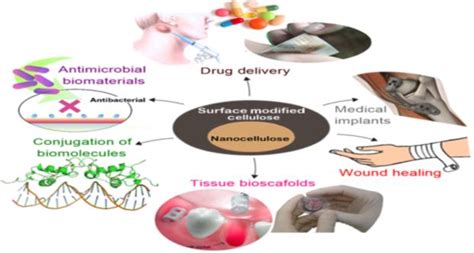 Biomedical Applications of BC | Download Scientific Diagram