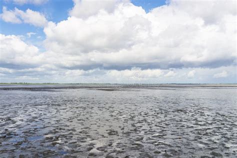 Mudflat stock photo. Image of marine, blue, detail, ecology - 44490538