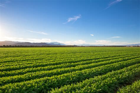 When It Comes to Organic Farms, Size Matters - Modern Farmer