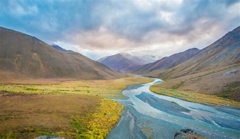 Arctic National Wildlife Refuge | Audubon Alaska