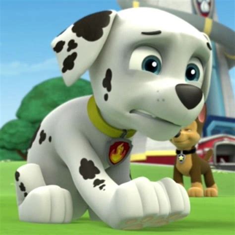 Chase's Gallery/Pups Get a Rubble | Paw patrol, Marshall paw patrol, Animated movies for kids