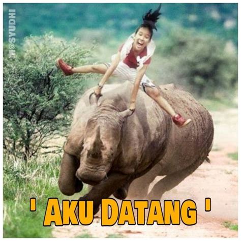 100+ Meme Gambar Lucu Foto dan Poto Kocak Terbaru + Komik & Gambar2