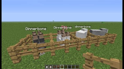 Minecraft Dinnerbone glitch! - YouTube