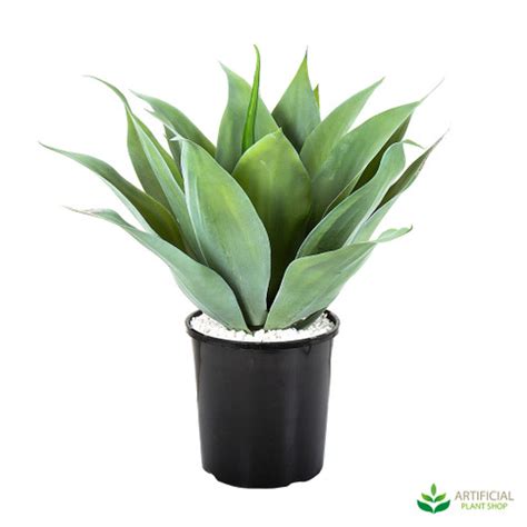 Artificial Agave - Artificialplantshop.com.au