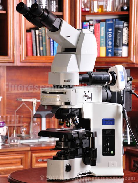 Fluorescence Microscopes - Olympus BX51 Upright Fluorescence Research Microscope