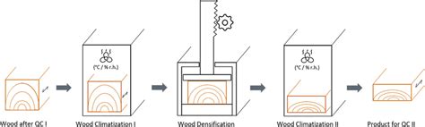 Schematic procedure detailing the manufacturing process of the... | Download Scientific Diagram