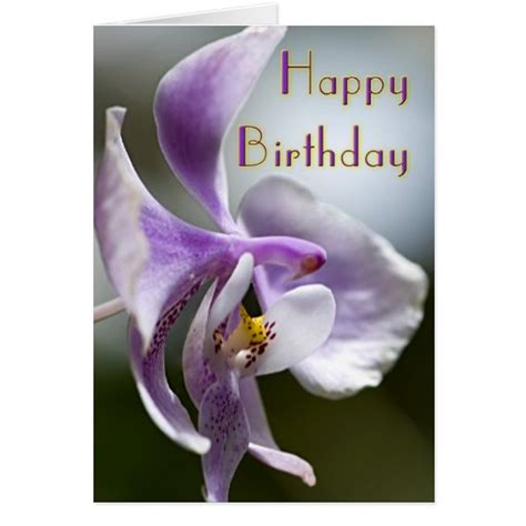 Orchid Birthday Card | Zazzle