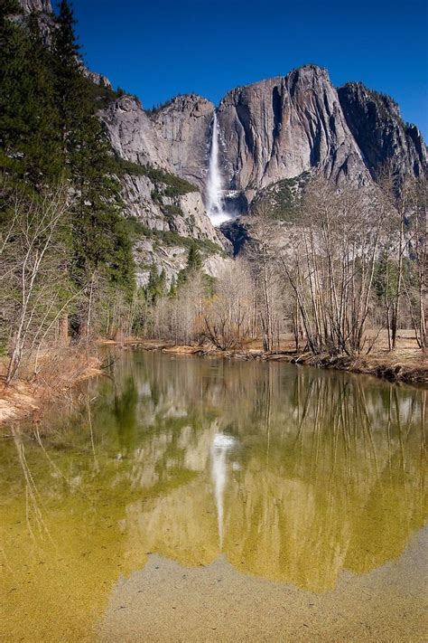 Yosemite Falls | Taken from Swinging Bridge, Yosemite Nation… | David ...