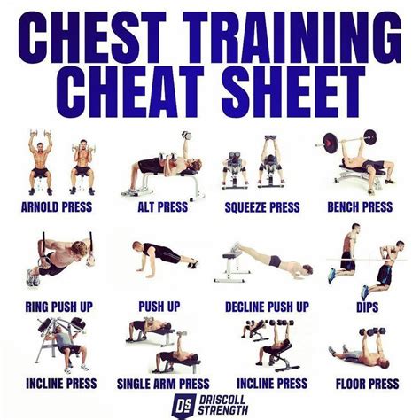 CHEST WORKOUT CHEAT SHEET AND TRAINING PLAN! The collection of the most favorite non bech press ...