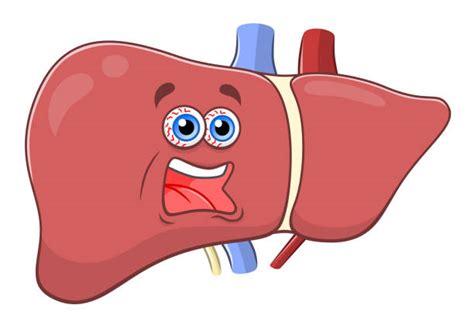 Best Liver Disease Illustrations, Royalty-Free Vector Graphics & Clip Art - iStock