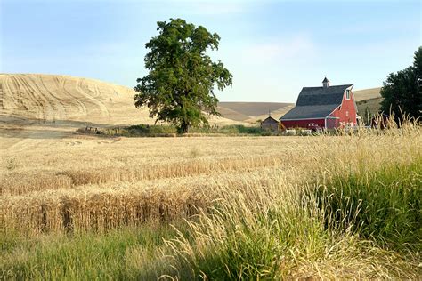 American Farmland Photograph by King Wu | Pixels