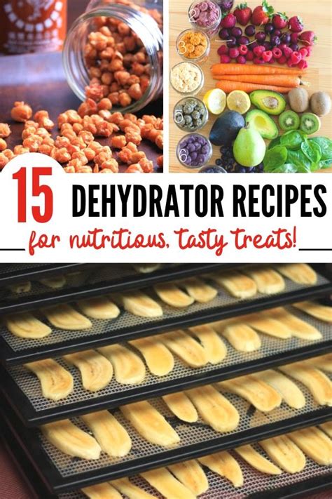 Dried Fruit + More Tasty Food Dehydrator Recipes