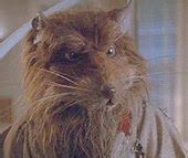 Splinter (Teenage Mutant Ninja Turtles) - Wikipedia