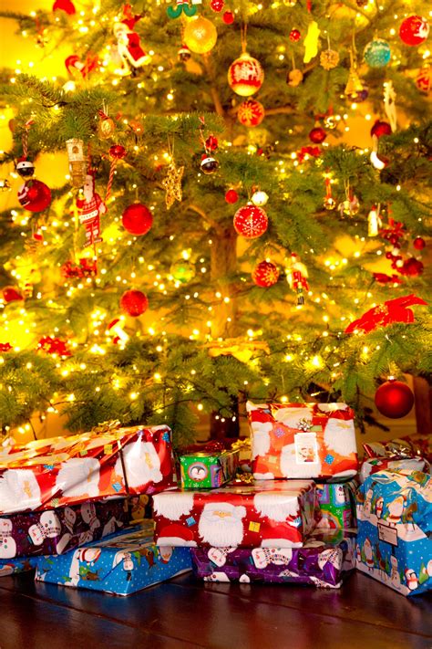 Christmas Tree Free Stock Photo - Public Domain Pictures