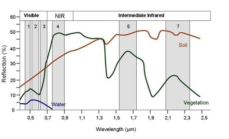 Spectral Signature Of Water