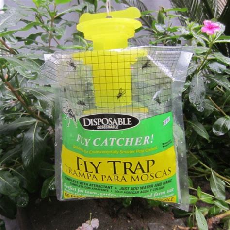 3pcs Disposable Fly Trap — USA Garden Center