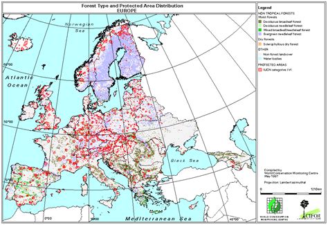 European forest map