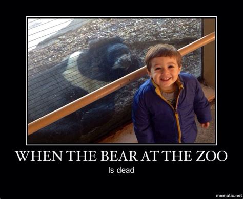 Funny animal meme zoo | Animal memes, Funny animals, Zoo