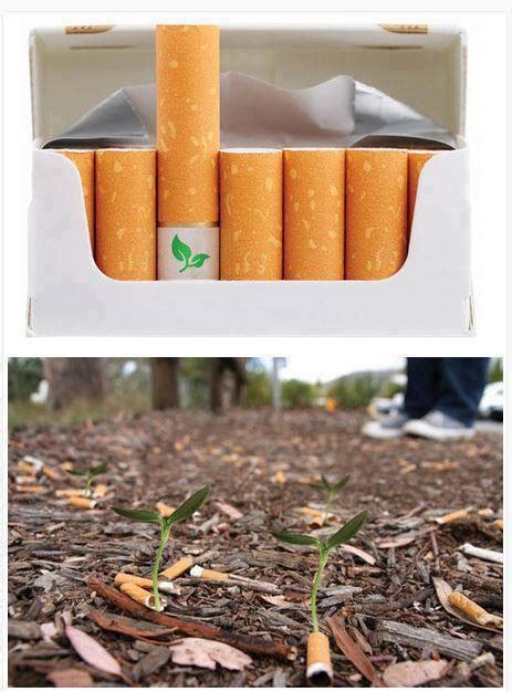 Biodegradable cigarette filters with flower seeds. ~ Science