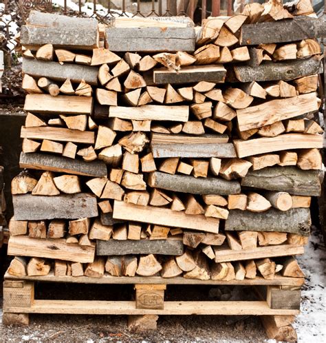 Best Types of Firewood to Use - Indianapolis IN - Mad Hatter