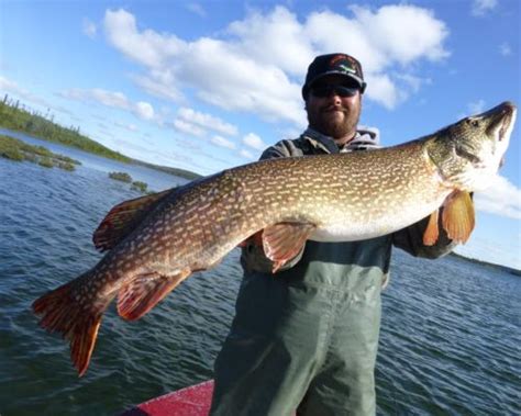 Lawrence Bay Lodge: First Class Fishing on Reindeer Lake