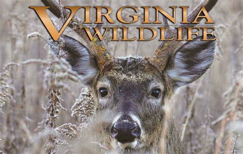 Virginia Department of Game and Inland Fisheries