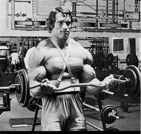 Bodybuilding Arnold Schwarzenegger Workout Plan