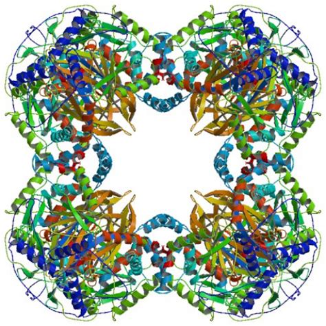 An Overview of Pyruvate Dehydrogenase Complex Deficiency | HubPages