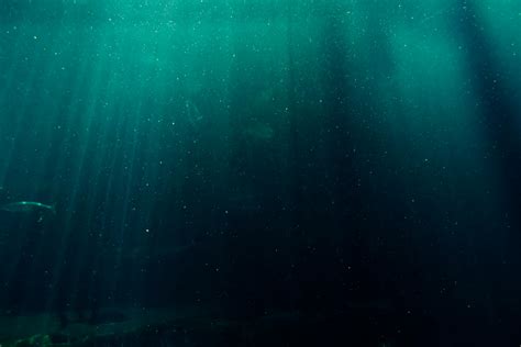 Underwater Photography of Deep Sea · Free Stock Photo