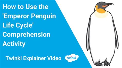 How to Use the 'Emperor Penguin Life Cycle' Comprehension Activity - YouTube