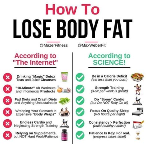 Best Ways to Lose Body Fat | POPSUGAR Fitness