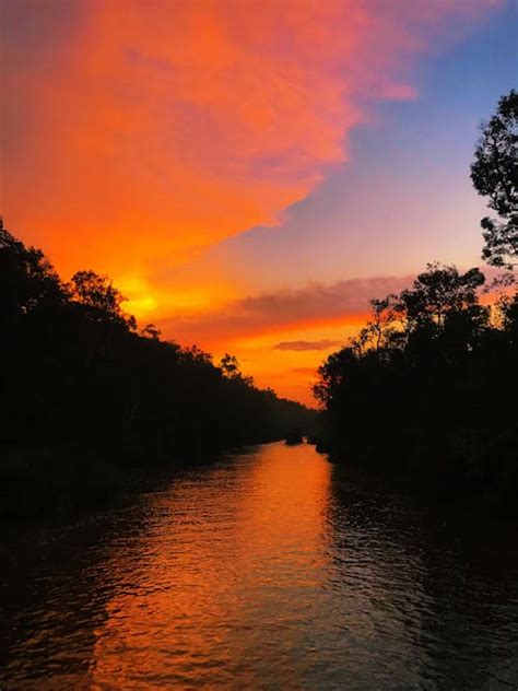 Silhouette of Tree at Sunset · Free Stock Photo